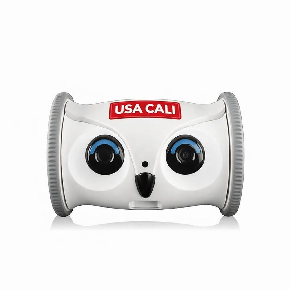 Interactive Rolling Owl Pet Toy