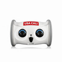 Interactive Rolling Owl Pet Toy