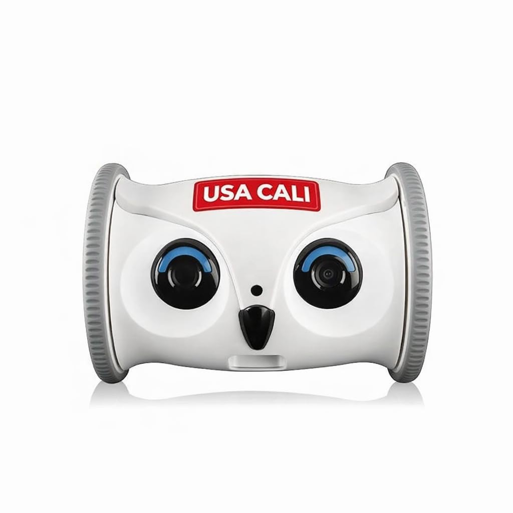 Interactive Rolling Owl Pet Toy