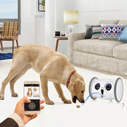 Interactive Rolling Owl Pet Toy