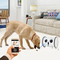 Interactive Rolling Owl Pet Toy