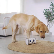 Interactive Rolling Owl Pet Toy