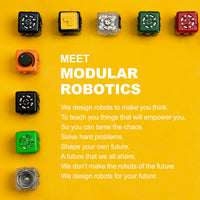 19-Piece Modular Robotics STEM Kit