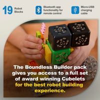 19-Piece Modular Robotics STEM Kit